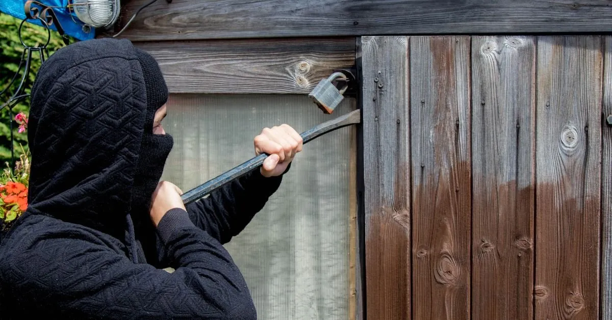 What Deters Burglars the Most?